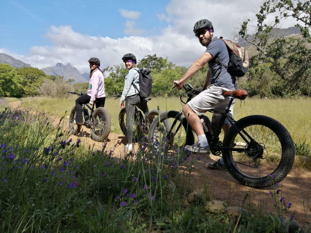 E-Bike Wine Farm Tour – Stellenbosch