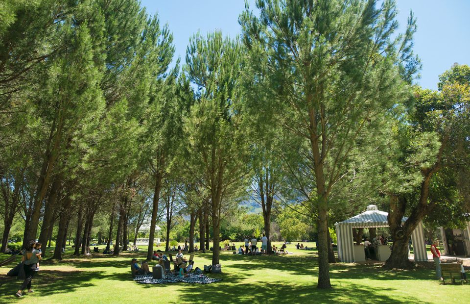 Boschendal Picnics