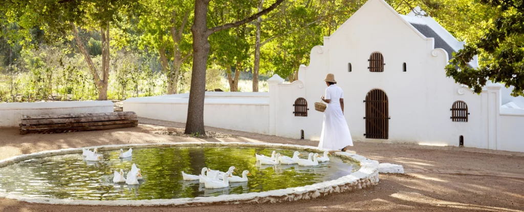 Soetmelksvlei – an Experience by Babylonstoren