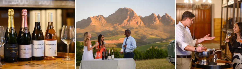 Webersburg Wine Estate – Vineyard Tasting Experience